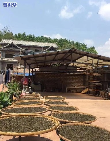 广州普洱茶场：哪里进货、价格与全解析