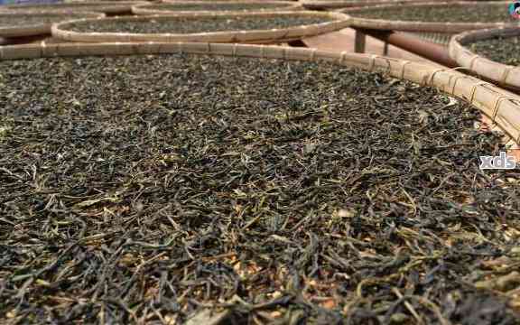 普洱茶金花茶：品味独特的发酵茶，了解其历、制作工艺及健益处