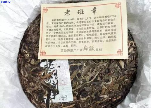 勐海县老树茶厂生产的普洱茶：品质、种类与价格解析