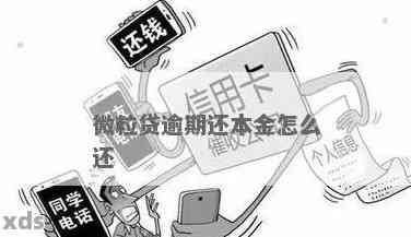 微粒贷逾期只还本金操作指南：如何实并可能的结果