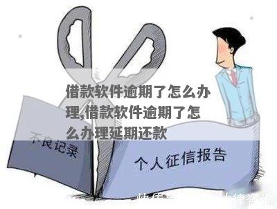 软件贷款逾期还款后果及解决方法