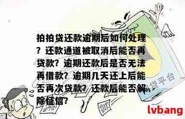 软件贷款逾期还款后果及解决方法