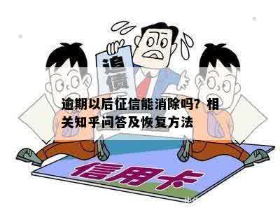 软件逾期了如何恢复：解答疑问与修复影响