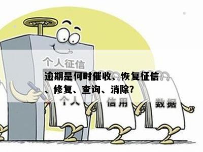 软件逾期了如何恢复：解答疑问与修复影响