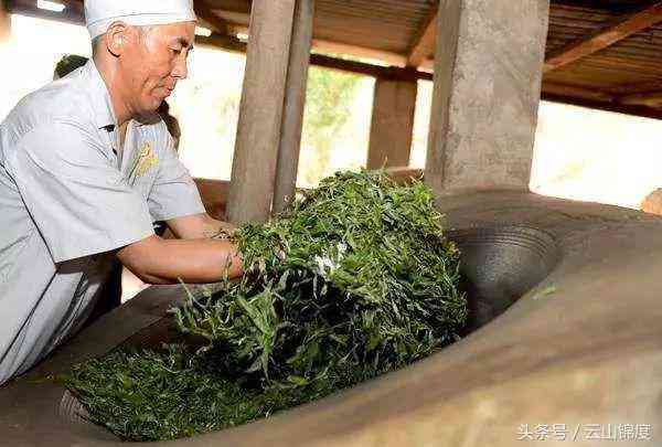 普洱茶制作过程揭秘：一斤茶青如何变成一斤干茶叶？