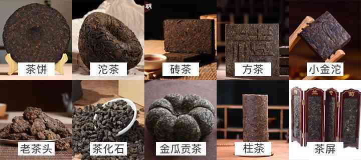 金色普洱茶饼：品种、制作工艺与品鉴方法的全面解析