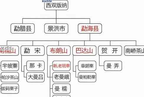 云安普洱茶全系列品种解析：了解各种口味与特点，挑选适合自己的茶品