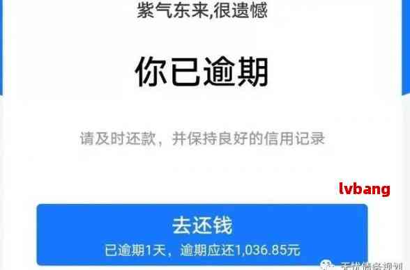 美团支付宝逾期催债电话：如何处理、影响及预防措，全面解答您的疑问