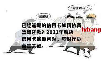 逾期还款协商策略：怎么制定有效的解决方案