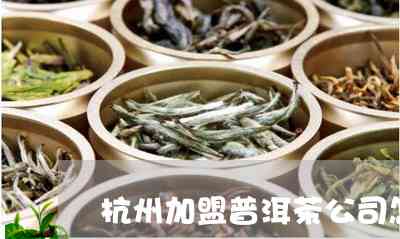 杭州市哪里有普洱茶卖