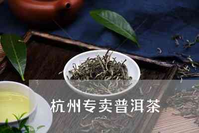 杭州市哪里有普洱茶卖