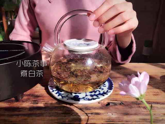 熟普洱茶用不用泡着喝好？是否需要煮？