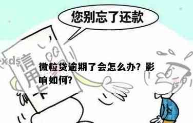 '微粒贷逾期后的相关处理措与是否能继续使用的问题全面解析'