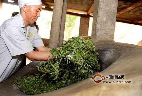 普洱茶原料的加工工艺是什么