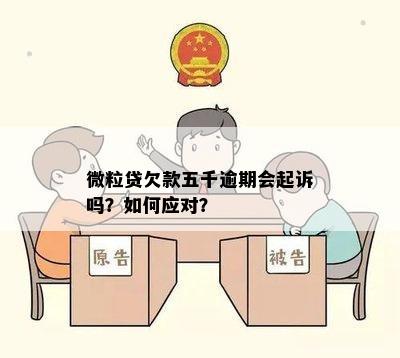 微粒贷欠款五万逾期三个月会被起诉吗？