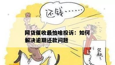 广东广州网贷平台科普：逾期还款处理与应对策略