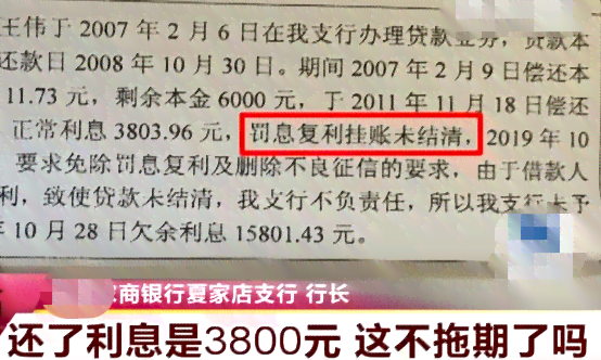 如何与贷款机构协商制定还款计划以逐步偿还欠款？了解详细步骤和注意事项