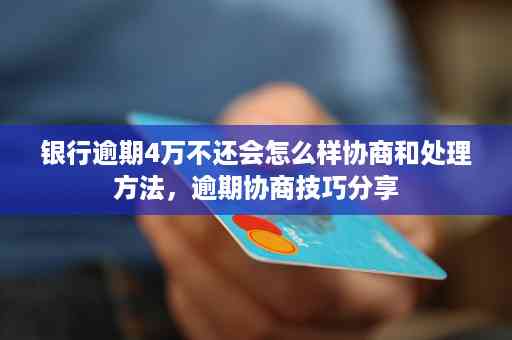 网袋逾期还款策略：协商方式与实用技巧