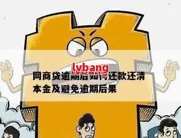 网贷减免协商本金还款