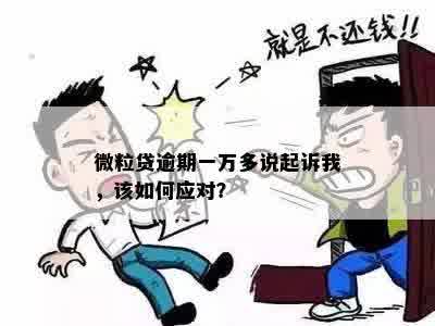 新微粒贷逾期一年多一万金额，是否会被起诉？