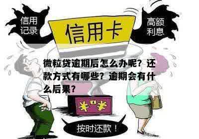 微粒贷逾期情况分析：还款方式与后果一览