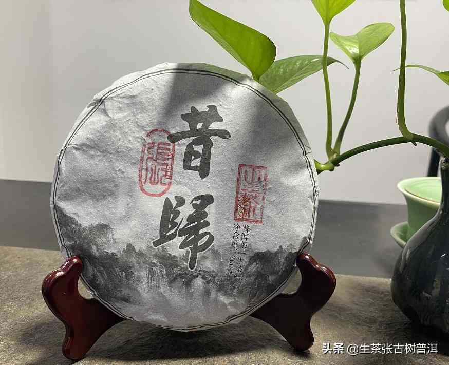 普洱茶性价比高的中茶排行榜及推荐：高质量中高端普洱茶