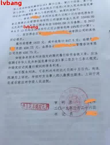 电信诈骗受害者无力偿还巨额贷款被起诉，如何解决？