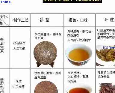 名贵普洱茶：品种、品质、泡法及收藏全方位解析，让你成为普洱茶专家