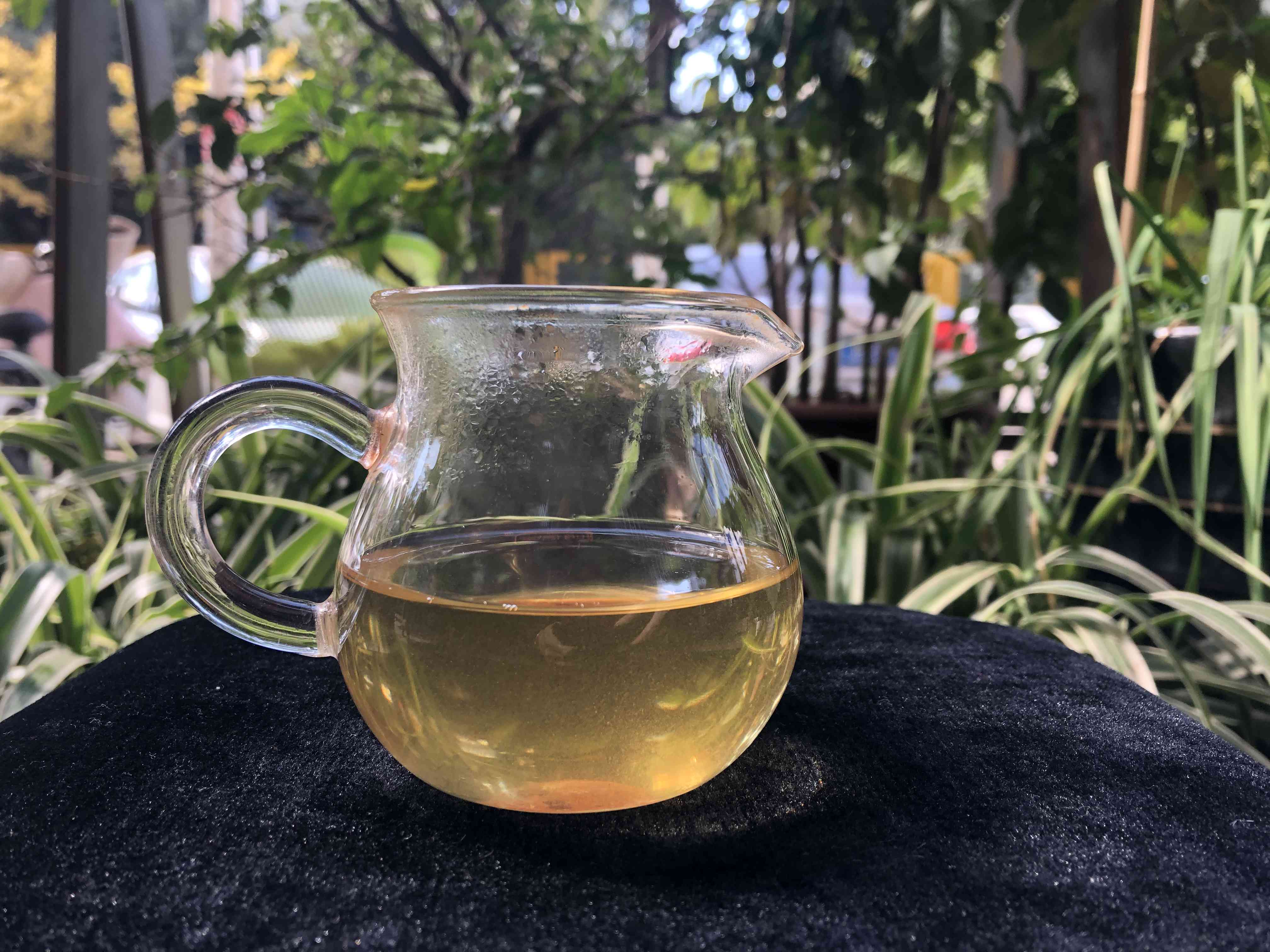 冰岛龙珠生茶的独特口感：一款值得尝试的新茶品