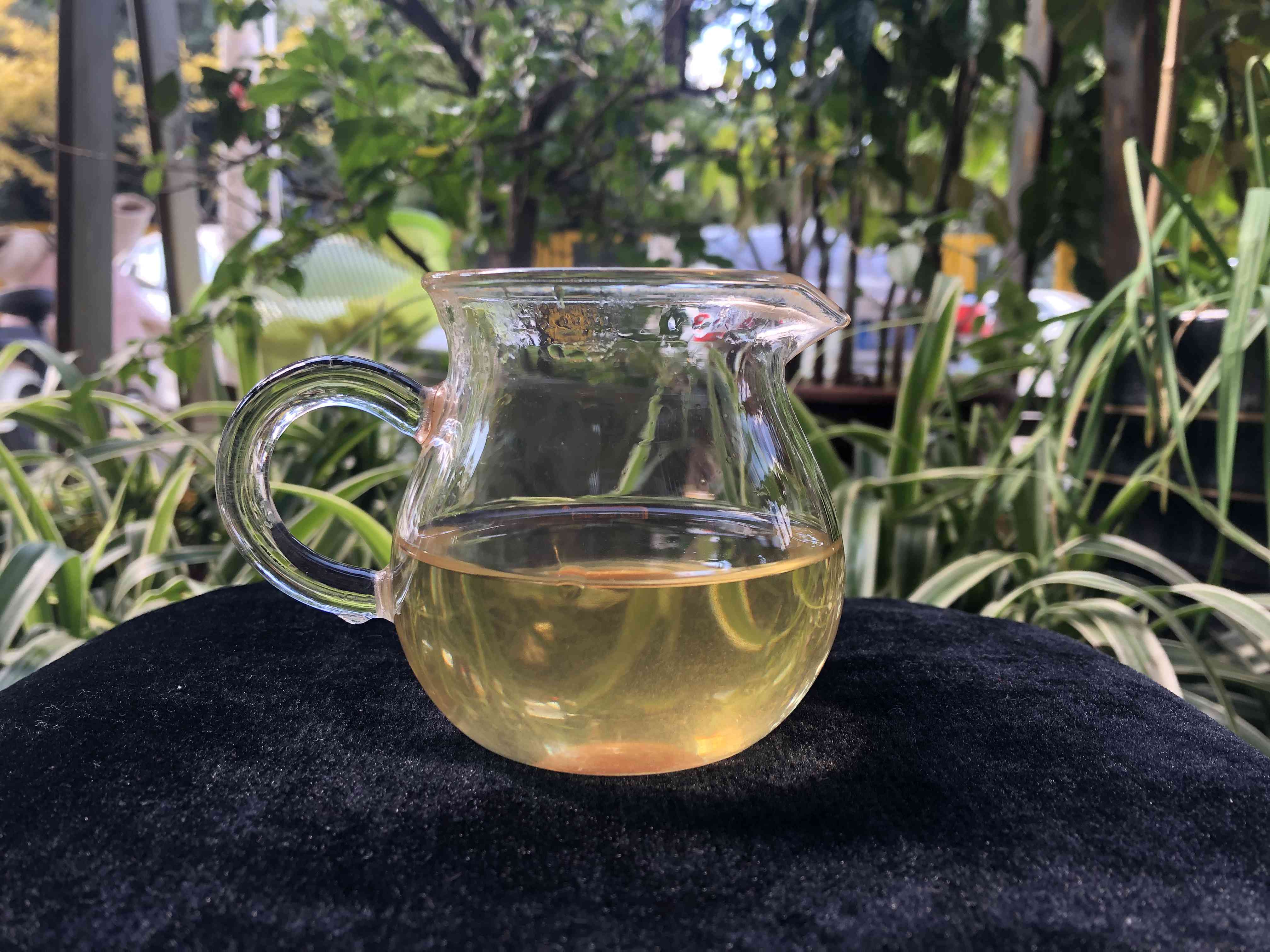 冰岛龙珠生茶的独特口感：一款值得尝试的新茶品