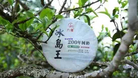 冰岛王子普洱茶：价格，树龄，产区，泡法详解