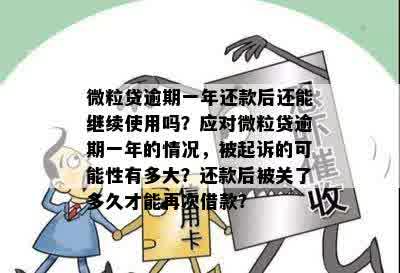 微粒贷逾期后再次借款的可行性及相关影响：详细解答与建议