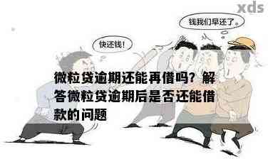 微粒贷逾期后再次借款的可行性及相关影响：详细解答与建议