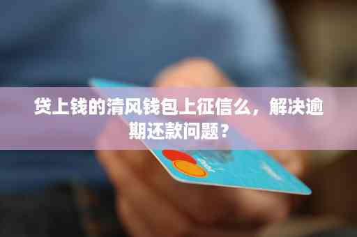 逾期还款攻略：成功实现信用钱包协商的实用技巧