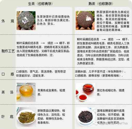 普洱茶的分类：红茶还是清茶？解答所有疑问