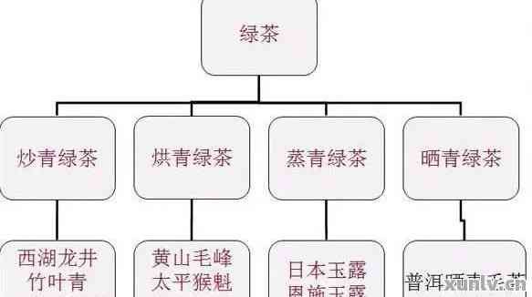 普洱茶的分类：红茶还是清茶？解答所有疑问