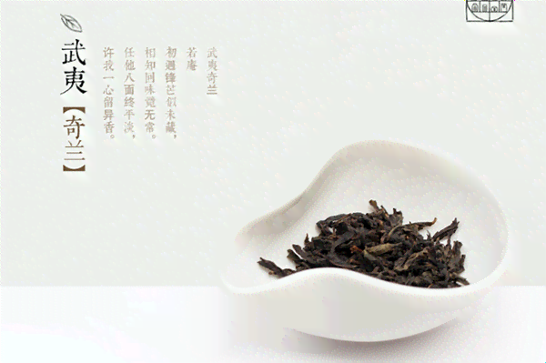 中国茶有云南普洱茶吗？普洱茶只产于中国吗？