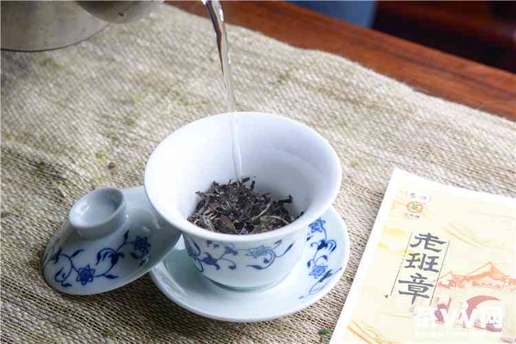 老班章普洱茶的独特韵味及其品鉴要点解析