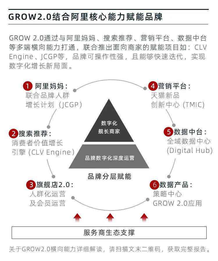 全链路解析：探究老班章普洱茶在云南阿里产地的价格波动与最新批发报价