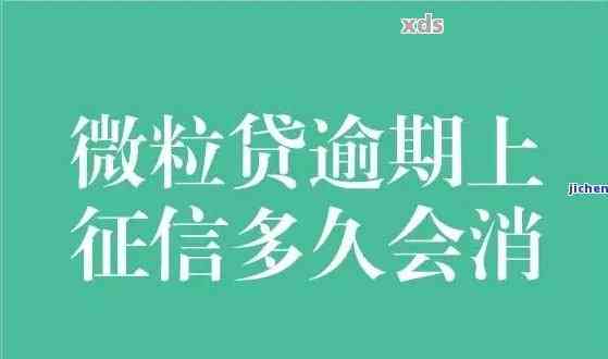 微粒贷逾期费用高吗？了解详细情况以及如何避免逾期产生的费用！