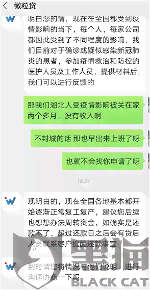 微粒贷逾期还款风险与全额偿还解析