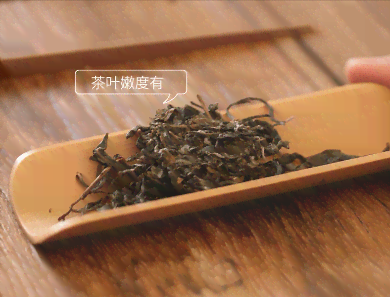 百年普洱茶口感与古树品种的关系：好喝的秘密揭秘