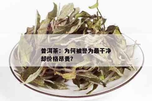 为啥有的普洱茶很干净呢？普洱茶的价格和口感为什么会有差异？