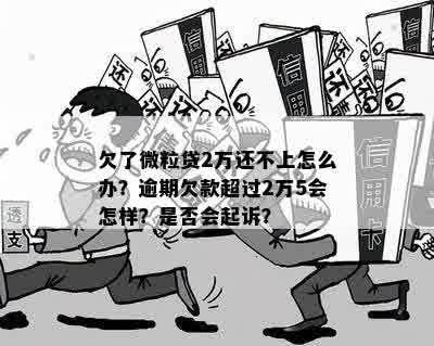 逾期82天超过2万元的微粒贷欠款：潜在的法律后果与解决策略