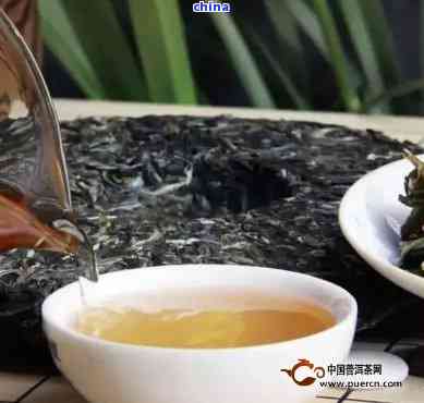 云南特色茶叶普洱茶冲泡技巧，一回生二回熟的品饮之道