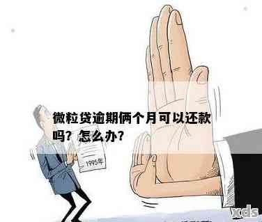 微粒贷逾期次数与取消分期关系：多久、一次结清等解答