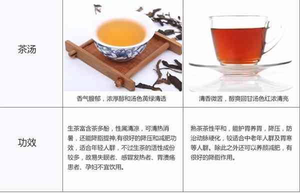 圆盘的普洱茶是生茶还是熟茶