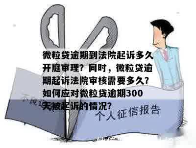 微粒贷逾期三个月4500元向人民法院提出申请-微粒贷逾期三个月4500元向人民法院提出申请执行