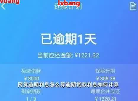 花呗逾期半年还款攻略：如何计划还款、利息计算与逾期处罚全解析