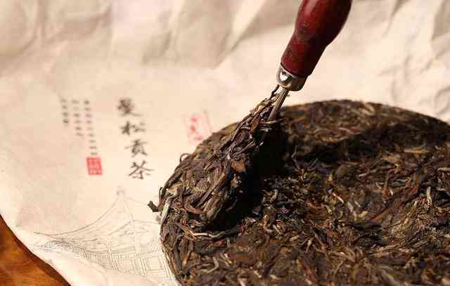 探索普洱茶的魅力：卧虎藏龙系列的价格解析与品鉴指南